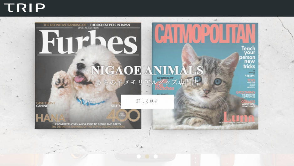 合同会社トリップ